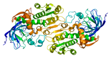 Alcohol dehydrogenase