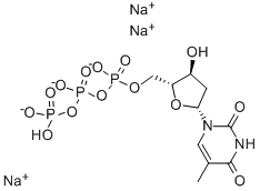 Deoxythymidine triphosphate