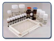 Rat lymphotactin,LptnLTN ELISA Kit