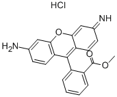 Rhodamine 123