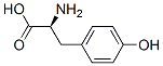 L-Tyrosine