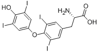 L-Thyroxine