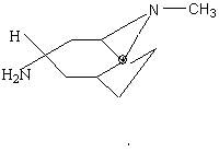 Endo-9-methyl-9-azabicyclo [331] nonan-3-amine