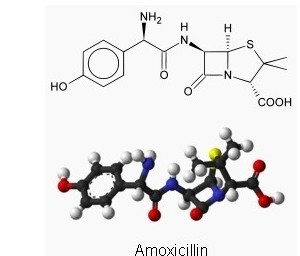 Amoxicillin