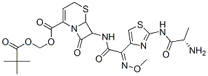 Ceftizoxime alapivoxil