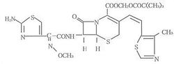 Cefditoren Pivoxil