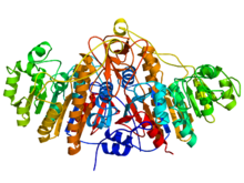 Alkaline phosphatase