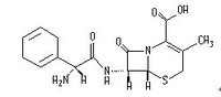 Cefradine