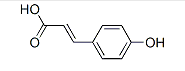 P-Coumaric acid