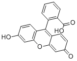 Fluorescein