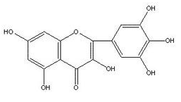 Myricetin