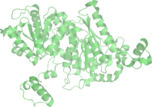 Phosphoglucose isomerase