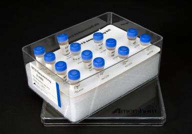 Rat Somatostatin,SS ELISA Kit