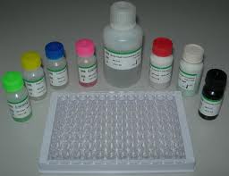 Rat Bone morphogenetic protein 7,BMP-7 ELISA Kit