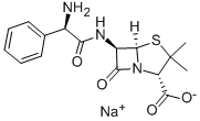 Ampicillin sodium