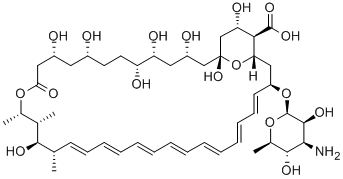 Amphotericin B