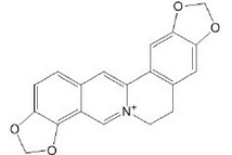 Coptisine