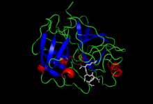 Enterokinase