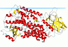 Lipoxidase