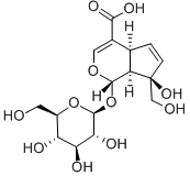 Monotropein