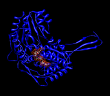 Aldehyde dehydrogenase