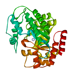 Adenosine deaminase