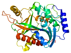 Nucleoside phosphorylase