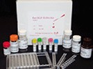 Rat Chorionic Gonadotrophin,CG ELISA Kit