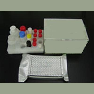 Rat secretory immunoglobulin A,sIgA ELISA Kit