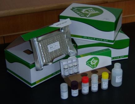 Rat Free Testoterone,F-TESTO ELISA Kit