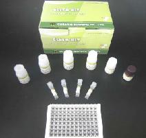 Rat Thyroid Stimulating Hormone,TSH ELISA Kit