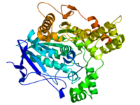 Acetylcholine esterase