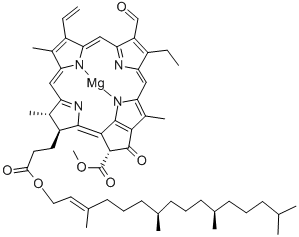 B-Chlorophyll