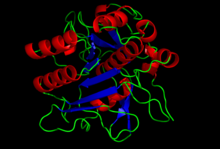 Subtilisin