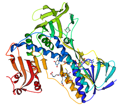 Glutathione reductase