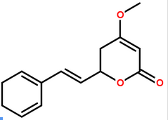 Kava Extract