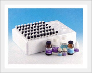 Rat Resistin ELISA Kit