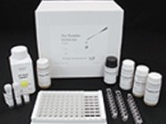 Rat Estradiol,E2 ELISA Kit