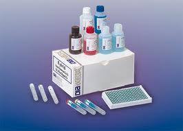 Rat Cortisol ELISA Kit