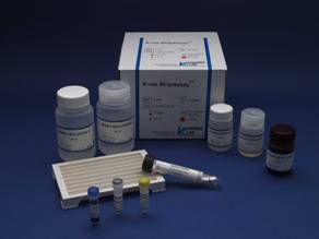 Rat Macrophage Migration Inhibitory Factor,MIF ELISA Kit