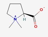 Stachydrine