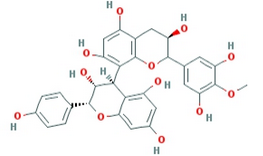 Pygeum Africanum Extract