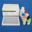 Rat Azidothymidine,AZT ELISA Kit