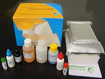 Rat Granulocyte Colony Stimulating Factor,G-CSF ELISA Kit