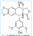 4-Demethylepipodophyllotoxin