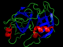 Trypsin