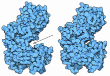 Hexokinase