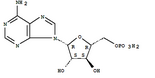 Vidarabine Monophosphate