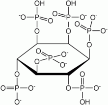 Phytase