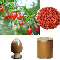 Wolfberry Extract